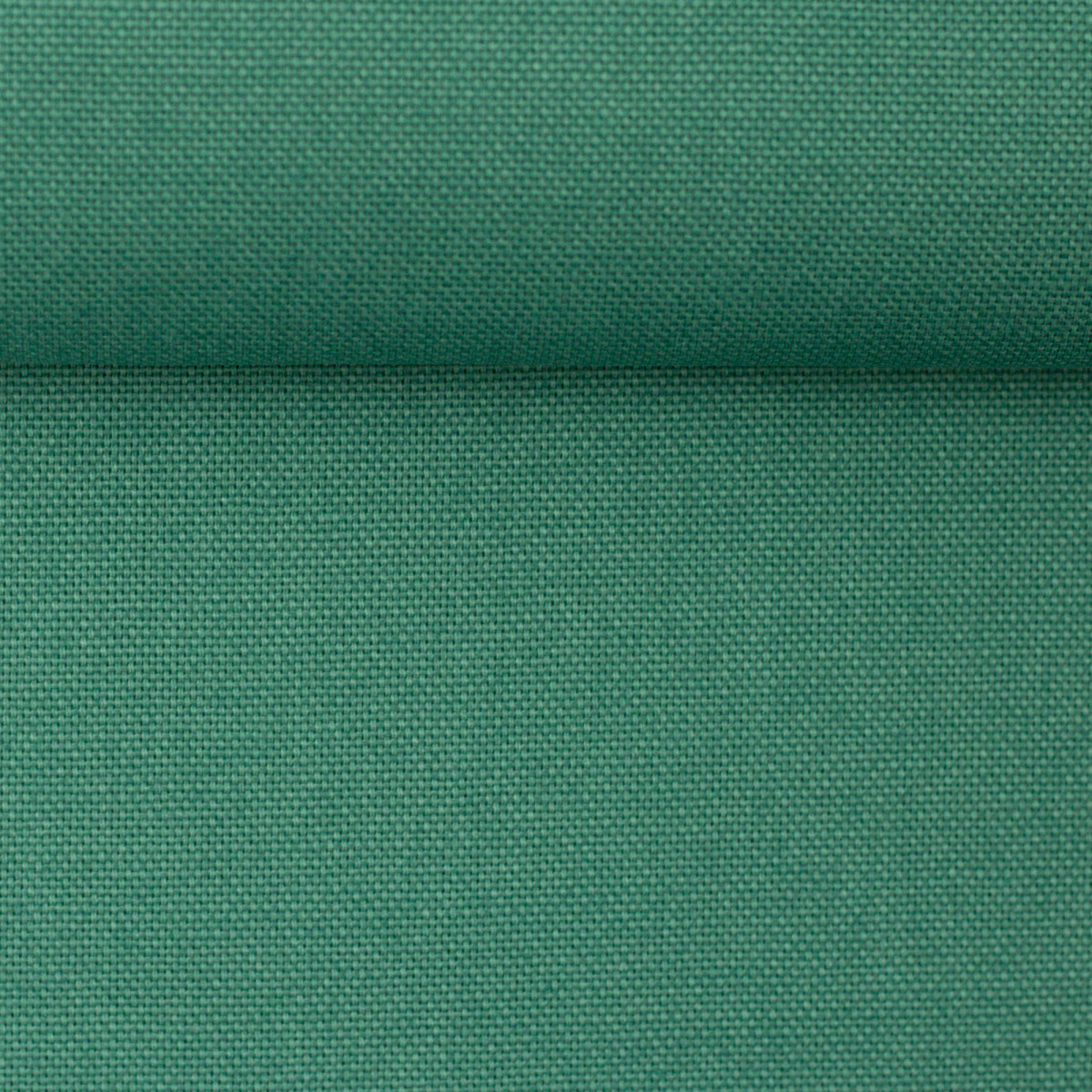 Canvas Calvin Uni smaragd
