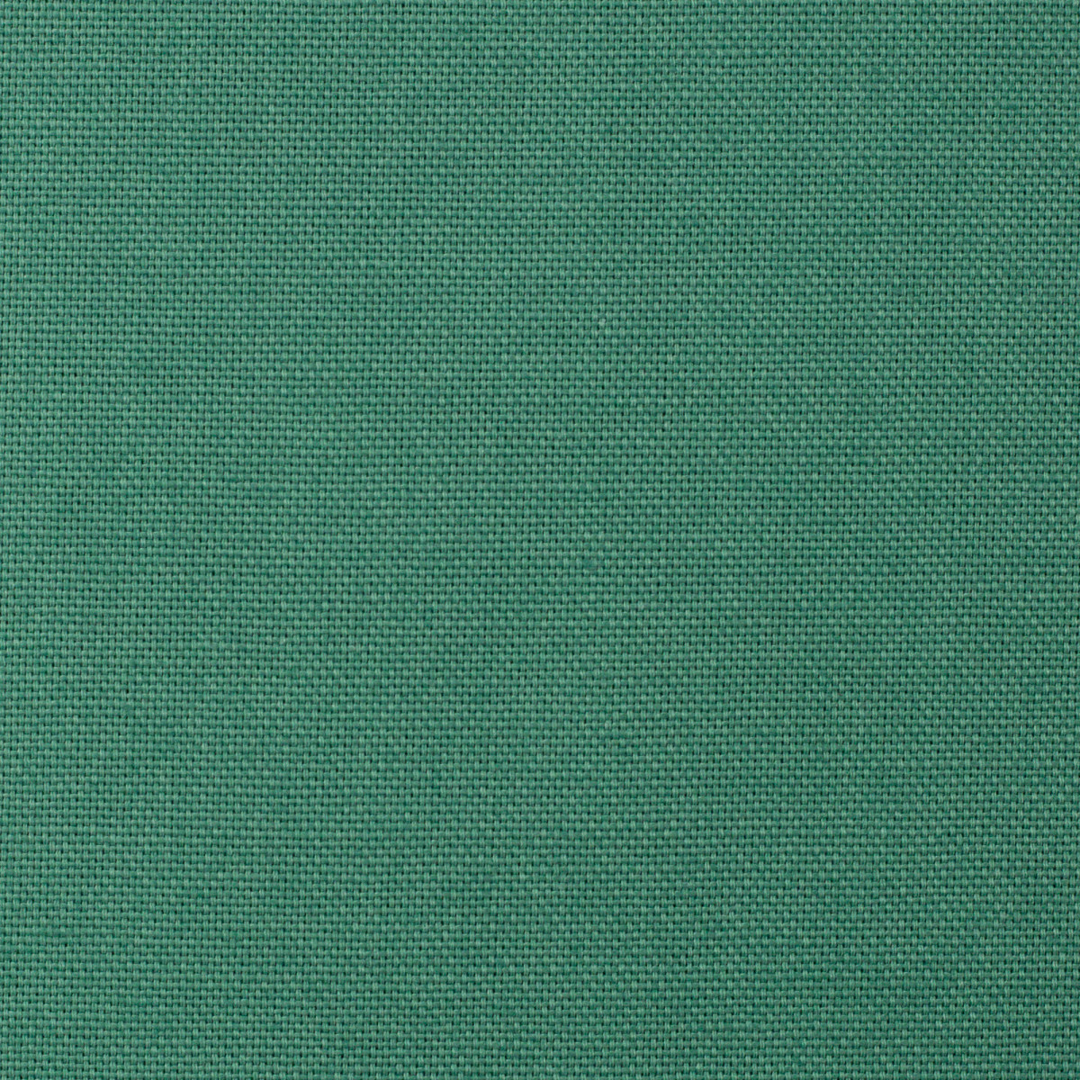 Canvas Calvin Uni smaragd