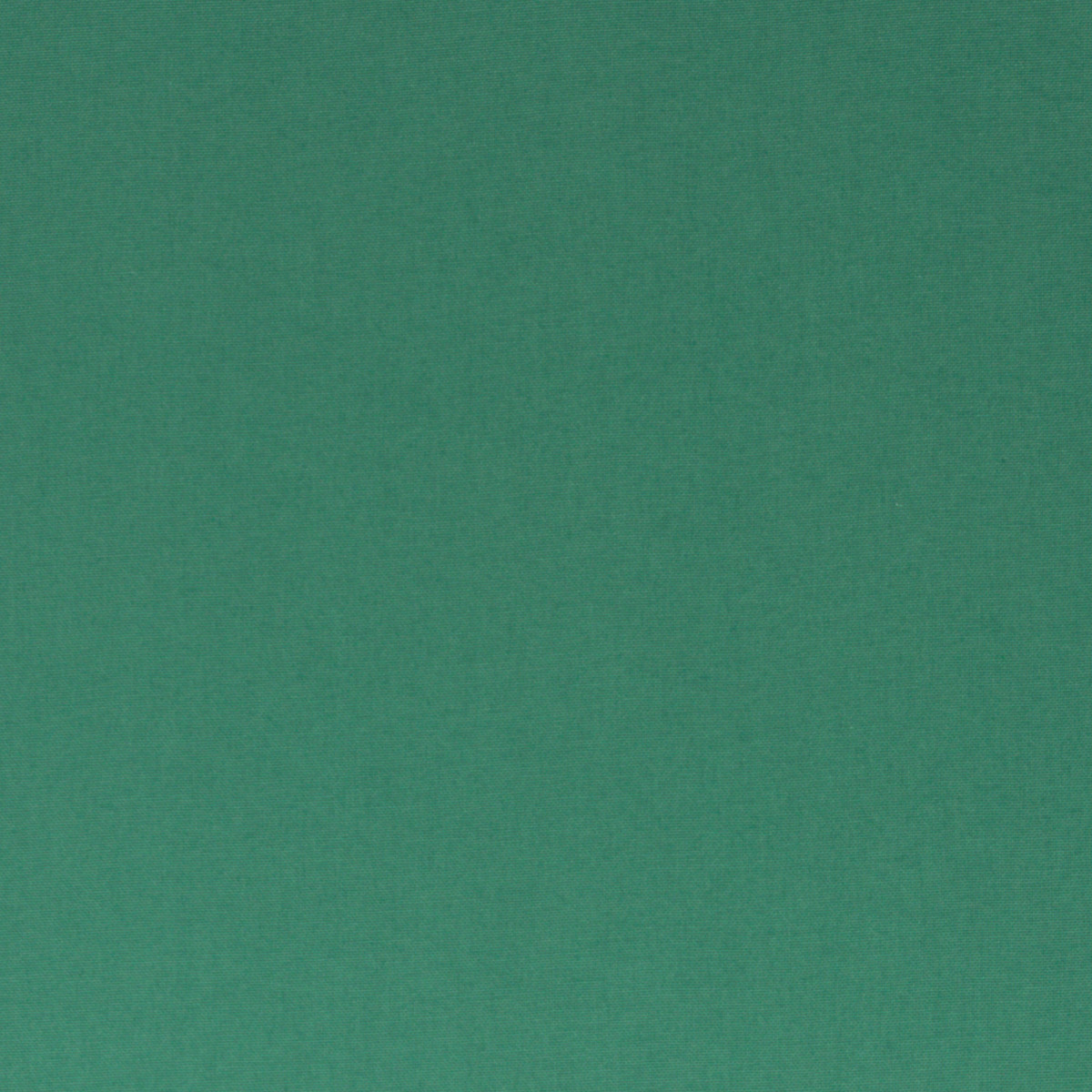 Canvas Calvin Uni smaragd