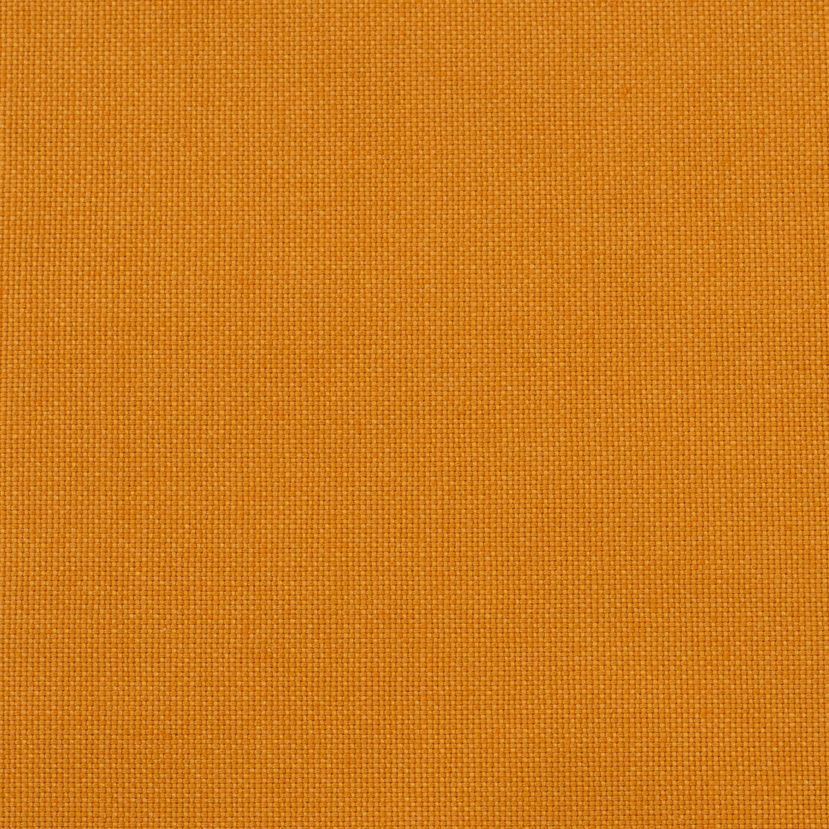 Canvas Calvin Uni ocker