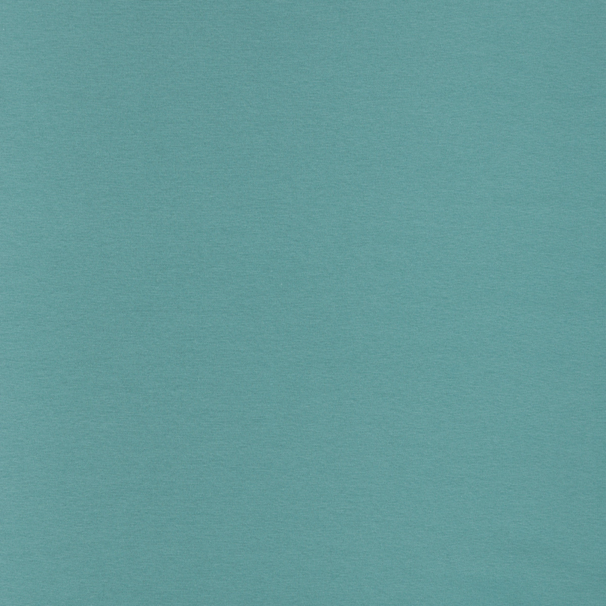 Jersey Uni mint