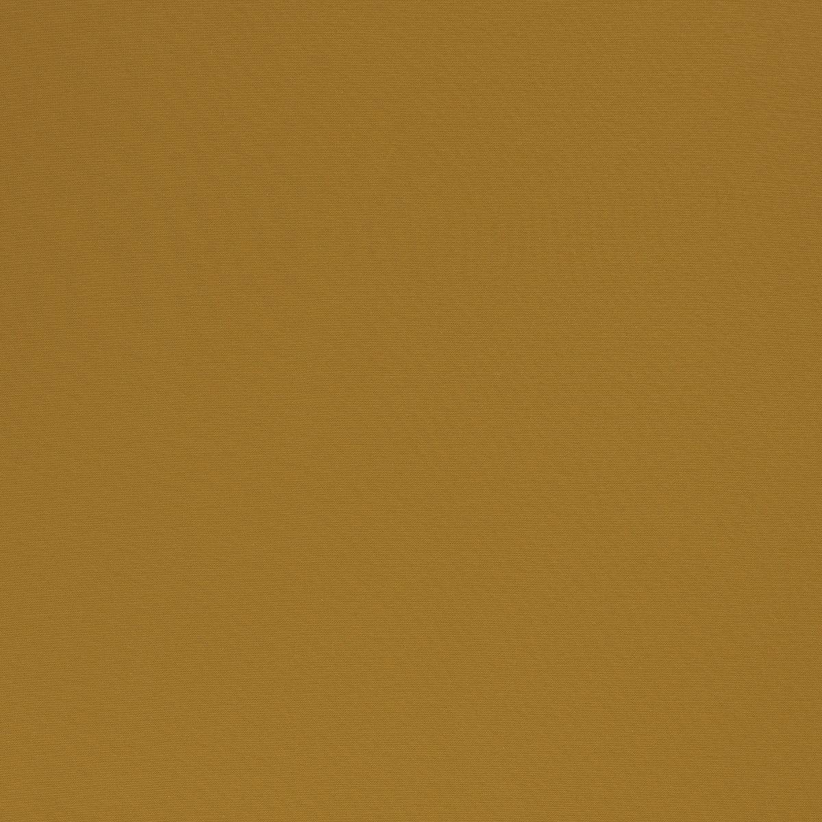 Jersey Uni goldgelb