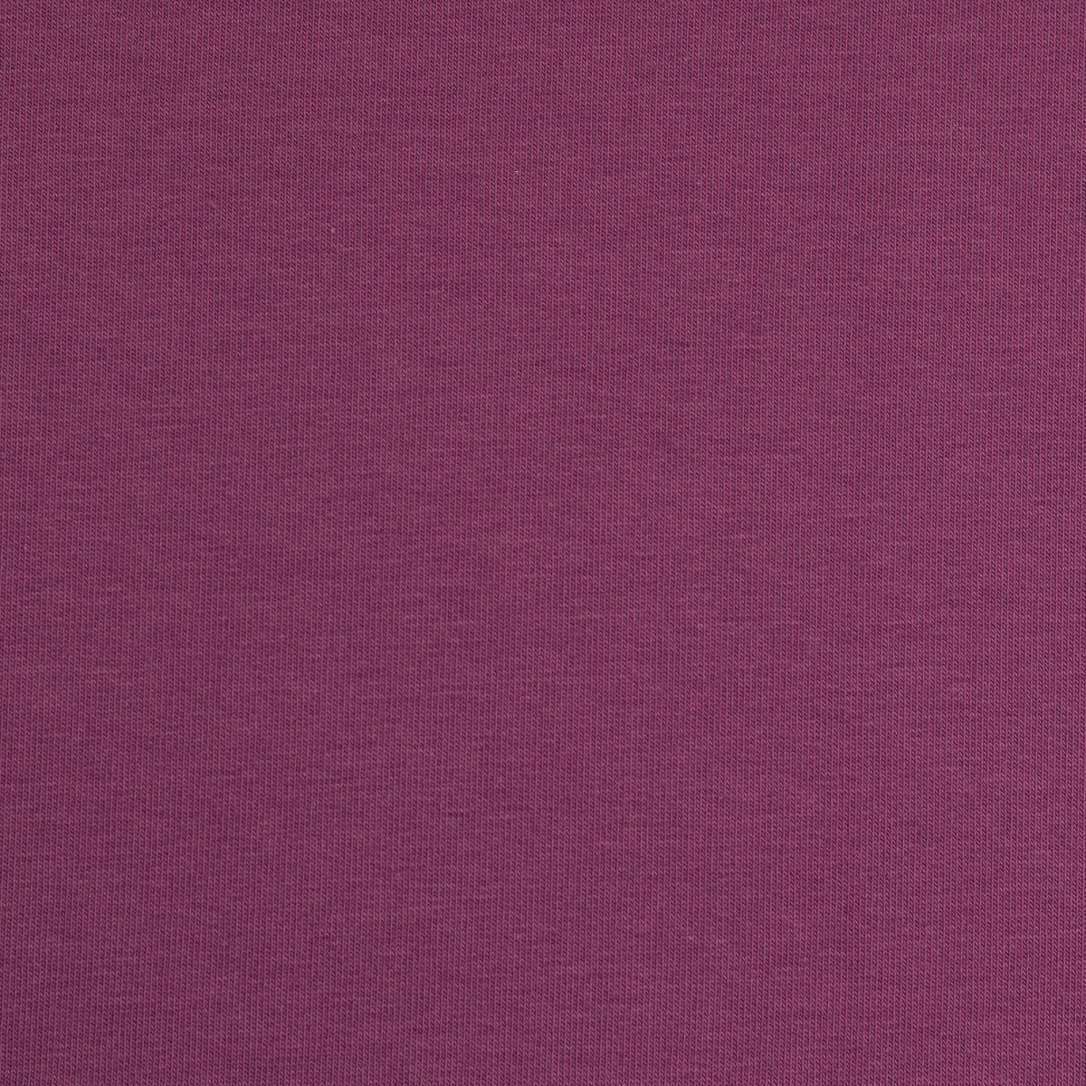 Jersey Uni lila