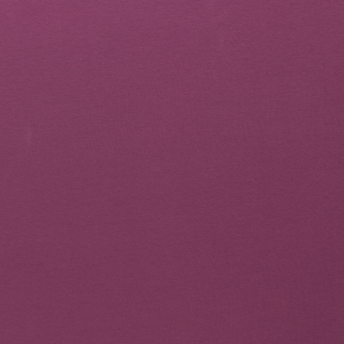 Jersey Uni lila